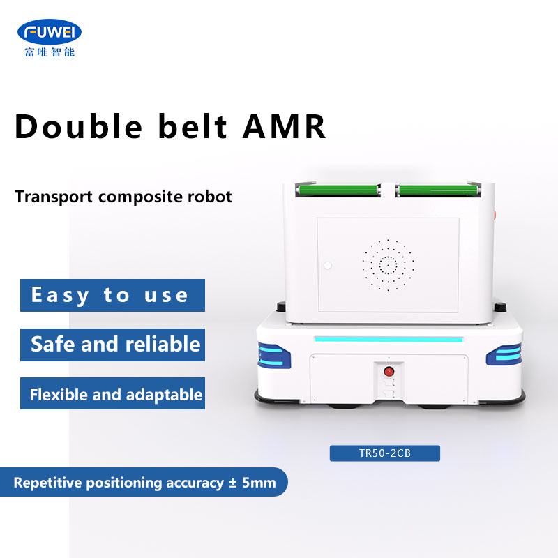 Double Belt Transfer Vehicle TR50-2CB